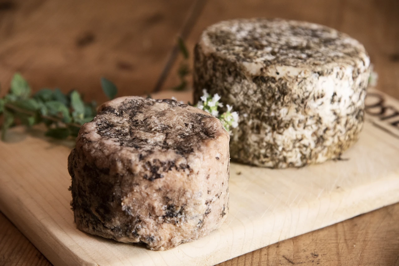 Agrimacelleria